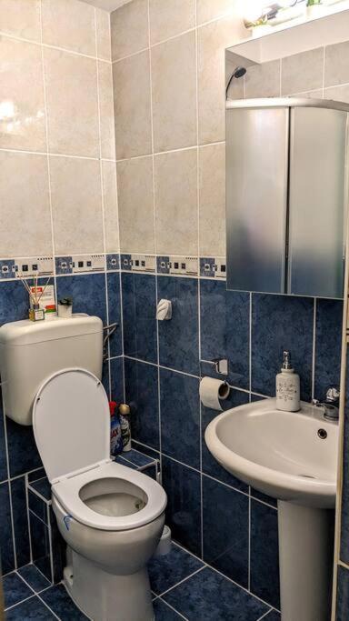 Cosy One Bedroom Flat With Free Parking & Wifi Cluj-Napoca Ngoại thất bức ảnh